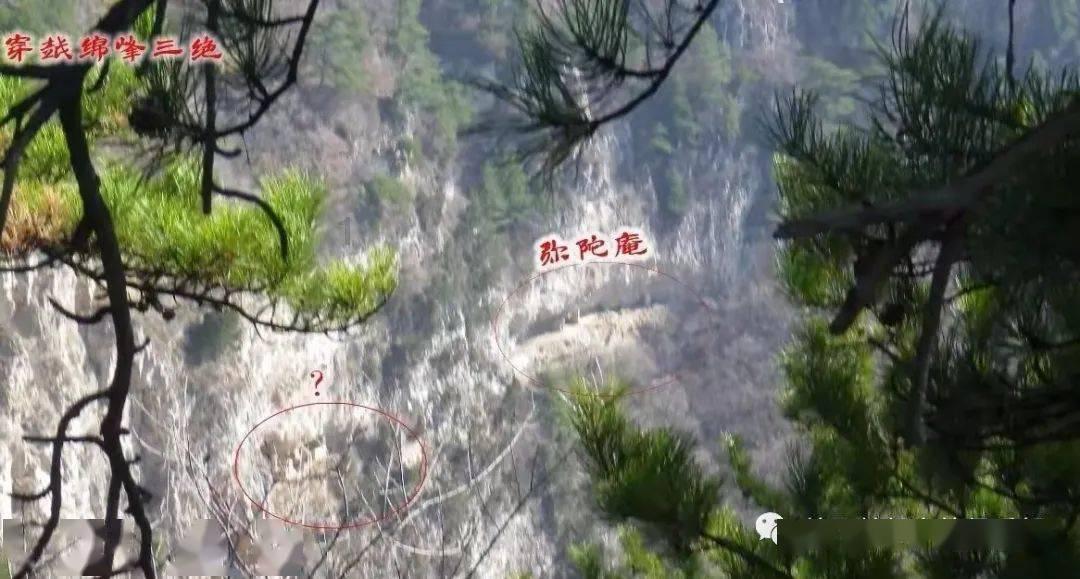 瑞德的冒险之旅中文版